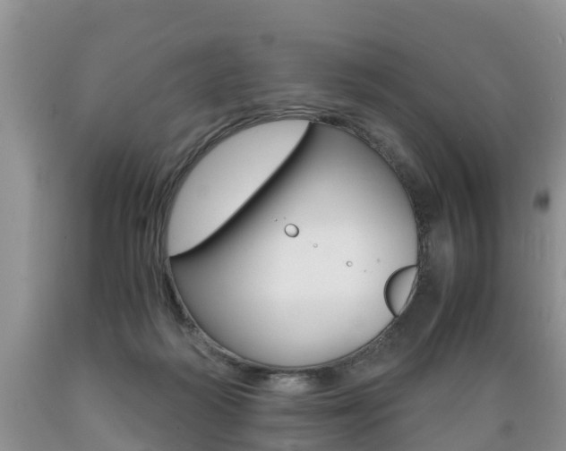 X0000089730218200706210923