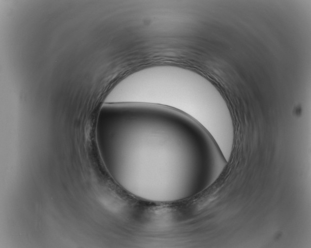 X0000089730219200706210923