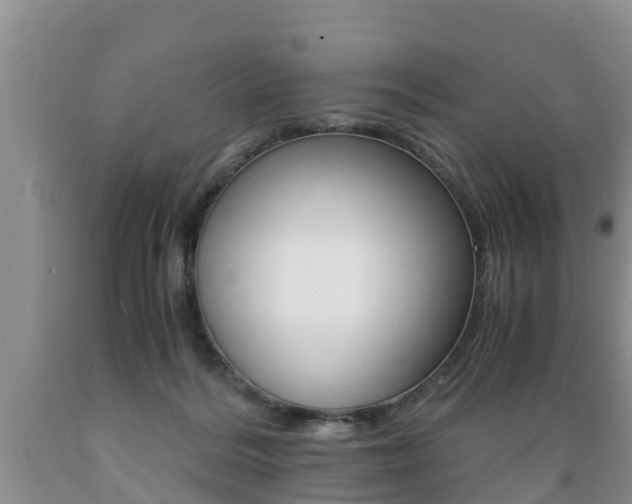 X0000089730220200706210923