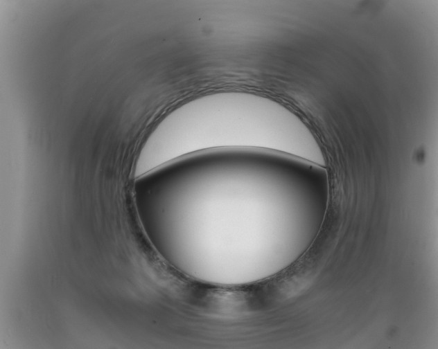 X0000089730221200706210923