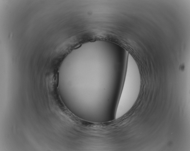 X0000089730223200706210923