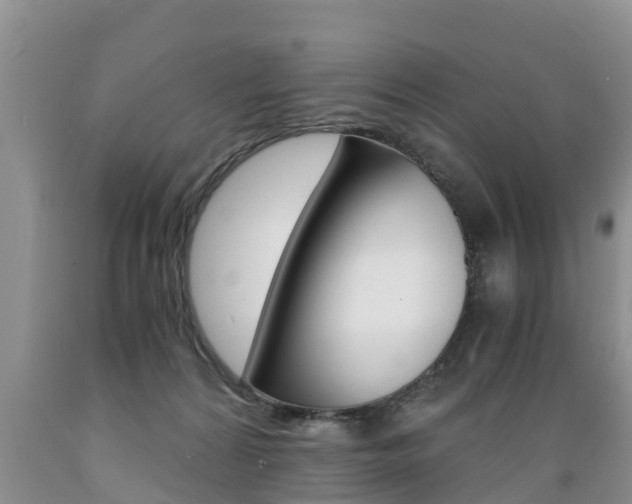 X0000089730224200706210923