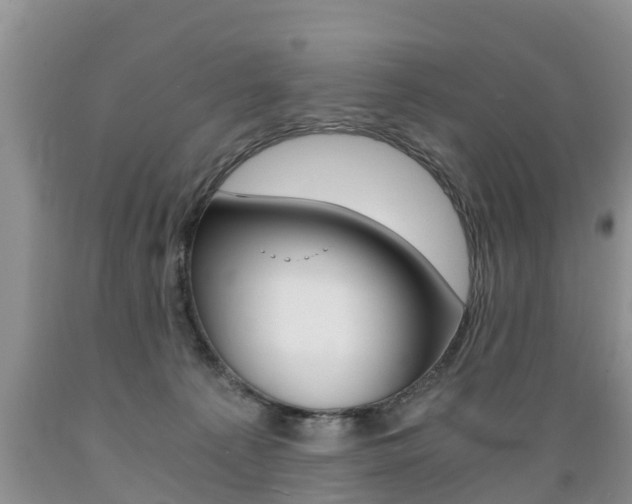 X0000089730225200706210923