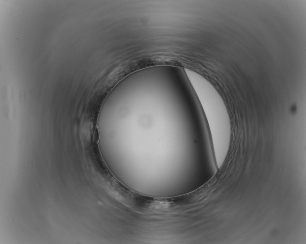 X0000089730227200706210923