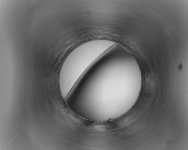 X0000089730228200706210923