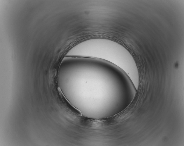X0000089730229200706210923