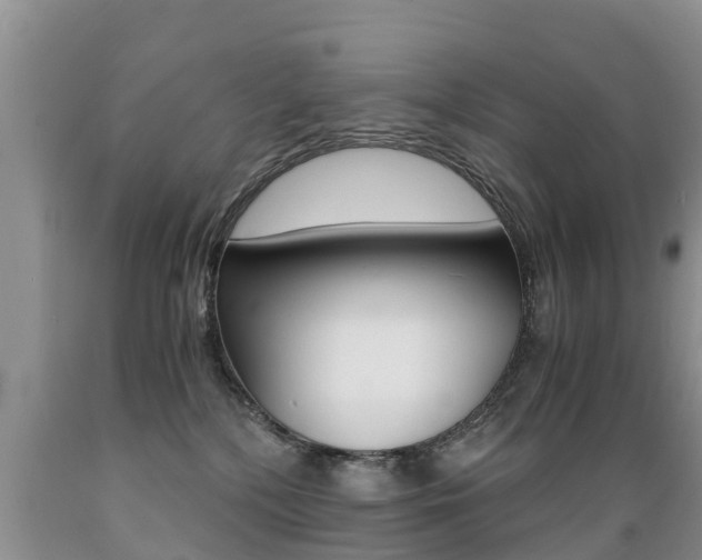 X0000089730232200706210923