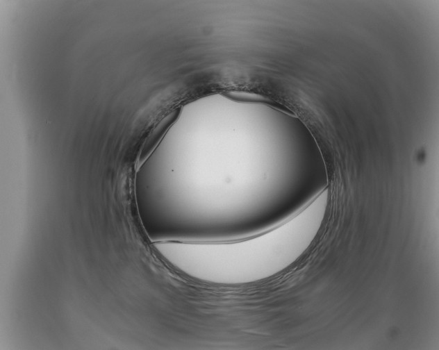 X0000089730233200706210923