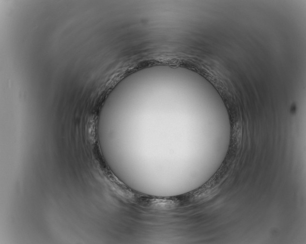 X0000089730234200706210923