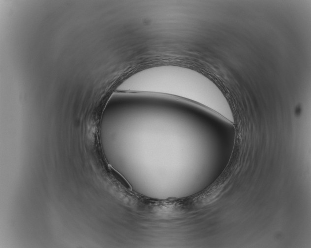 X0000089730235200706210923