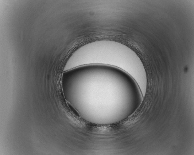 X0000089730237200706210923