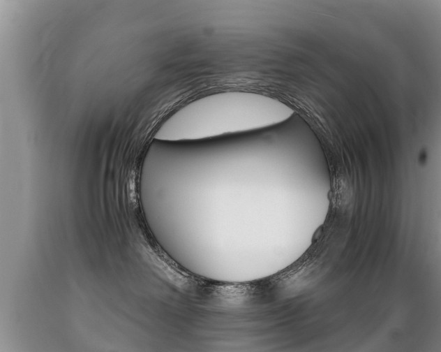 X0000089730238200706210923