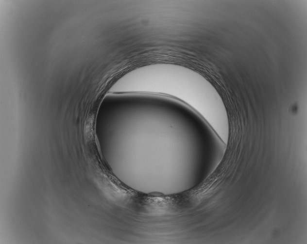 X0000089730239200706210923