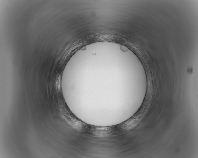 X0000089730240200706210923