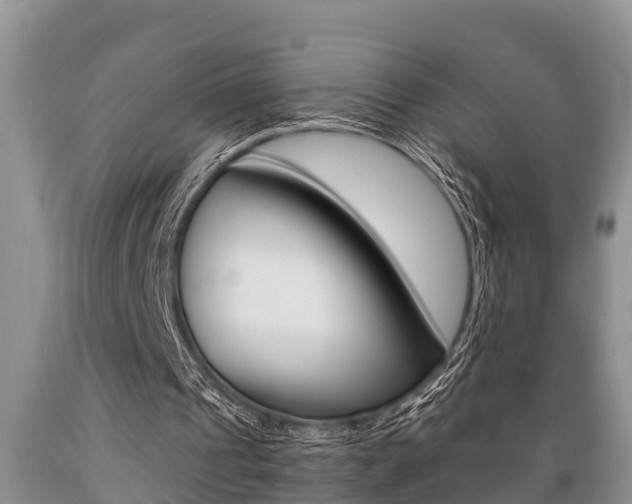 X0000089730241200706210922