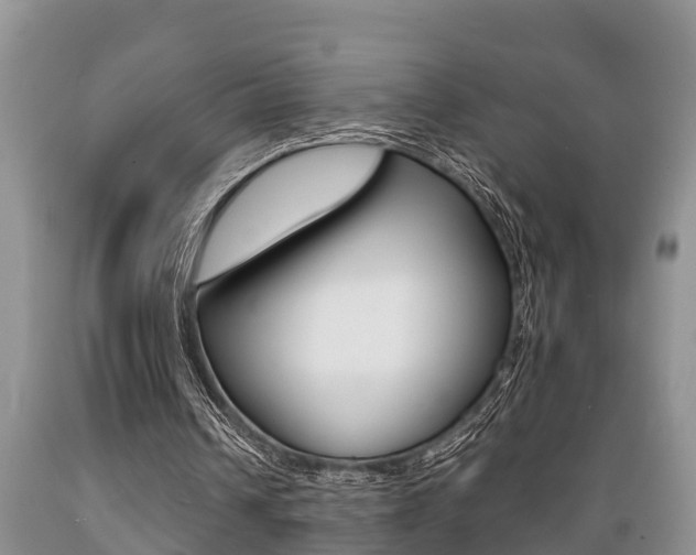 X0000089730242200706210922
