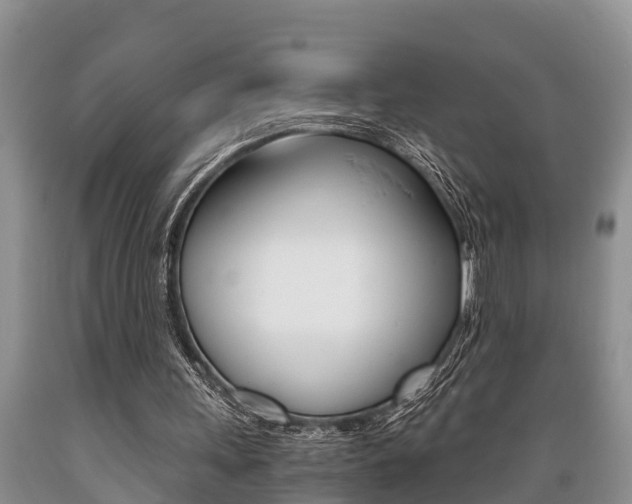 X0000089730243200706210922