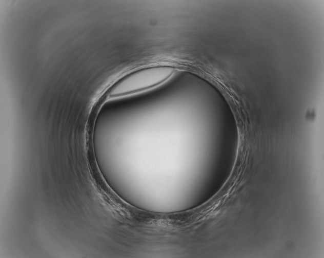 X0000089730244200706210923