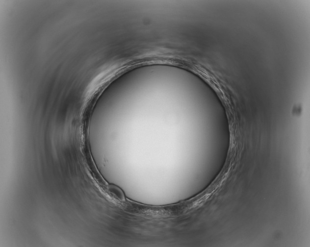 X0000089730245200706210923