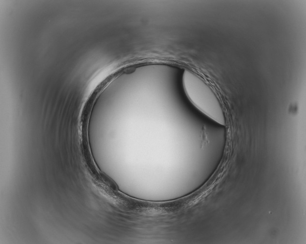 X0000089730246200706210923