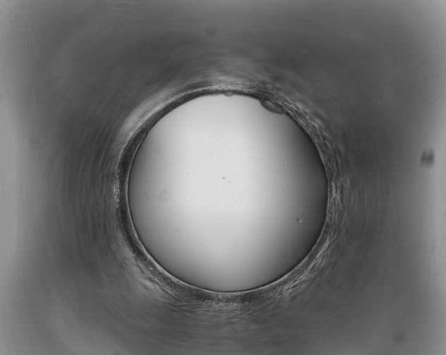 X0000089730247200706210923