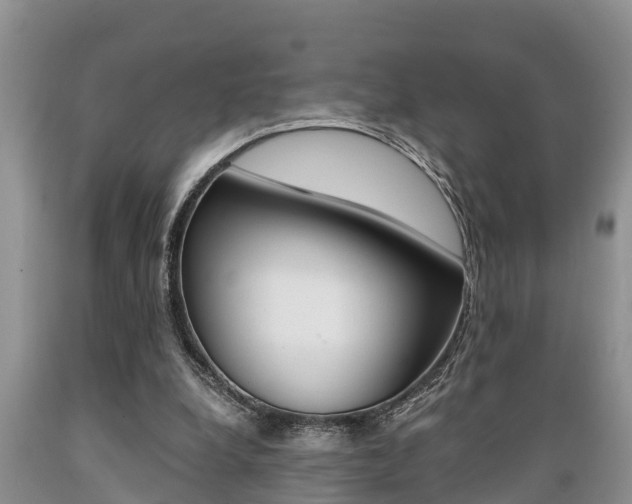 X0000089730248200706210923