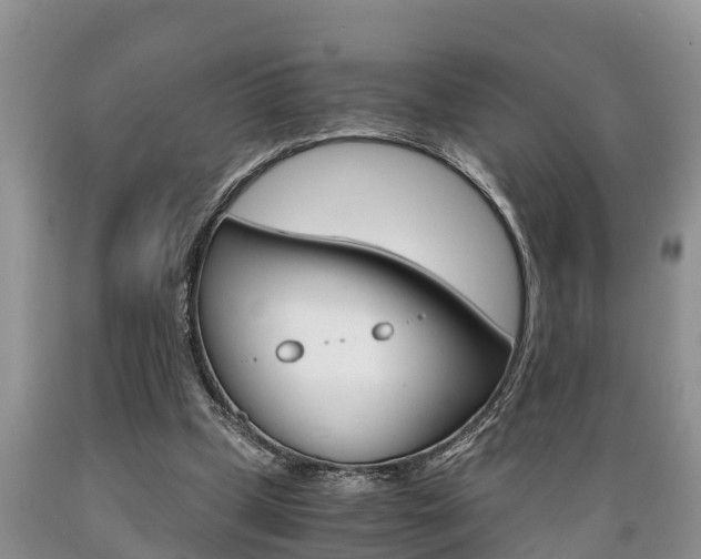 X0000089730249200706210923
