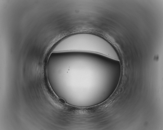 X0000089730250200706210923