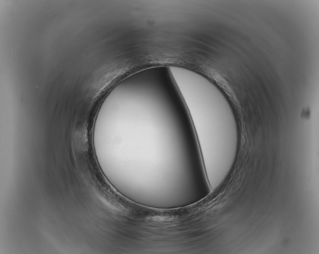 X0000089730251200706210923