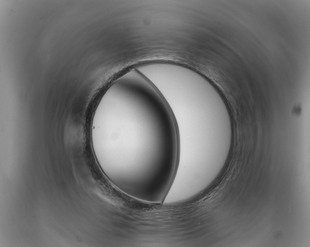 X0000089730252200706210923