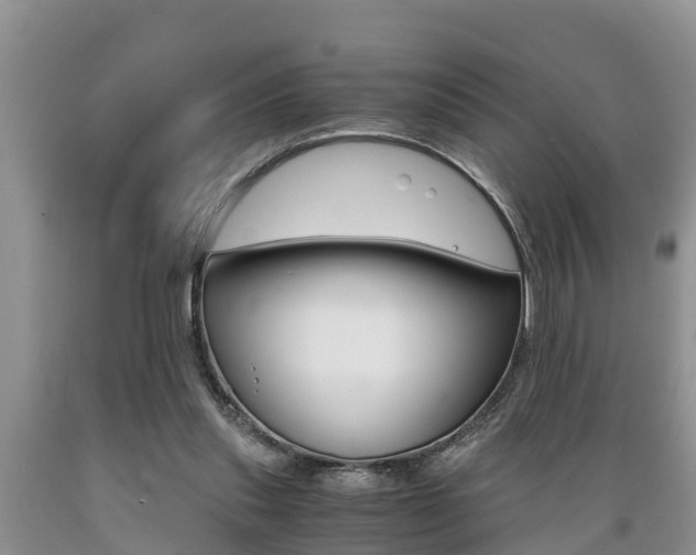 X0000089730253200706210923