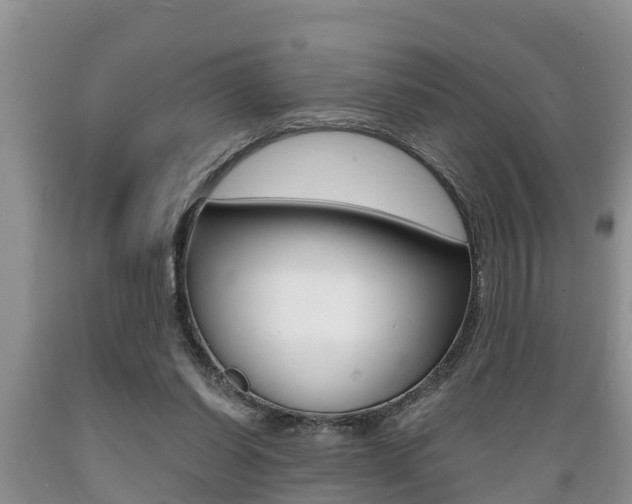 X0000089730254200706210923