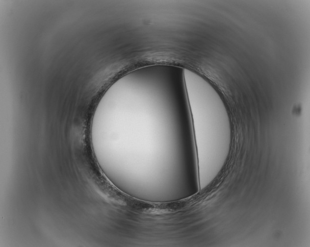 X0000089730255200706210923
