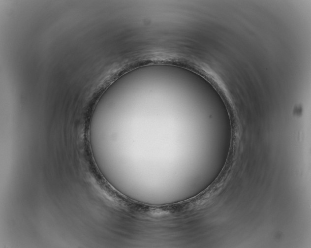 X0000089730257200706210923