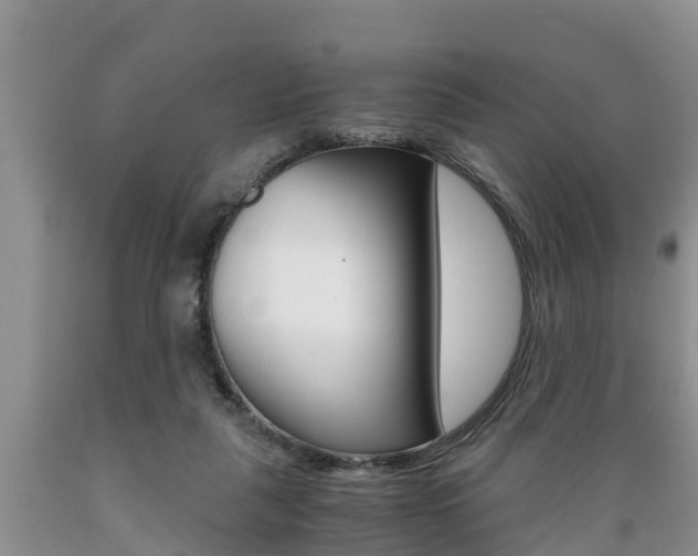 X0000089730259200706210923