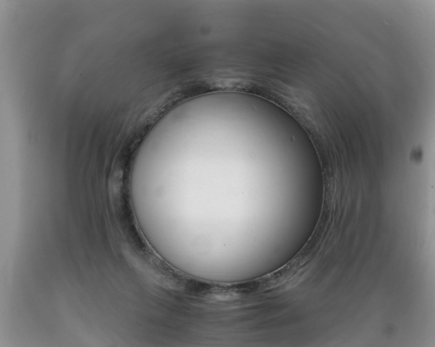 X0000089730263200706210923