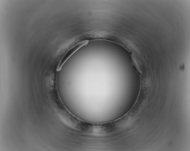 X0000089730264200706210923