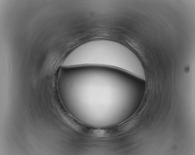 X0000089730265200706210923