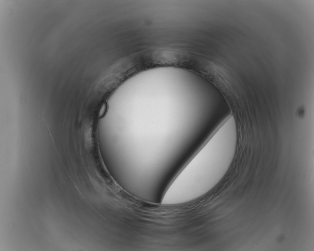 X0000089730267200706210923