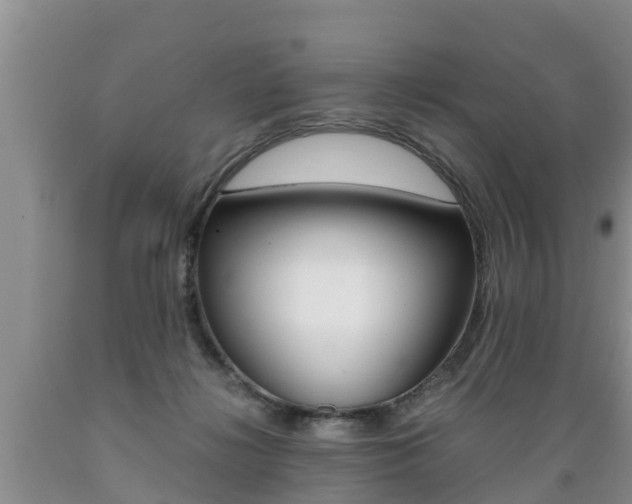 X0000089730268200706210923