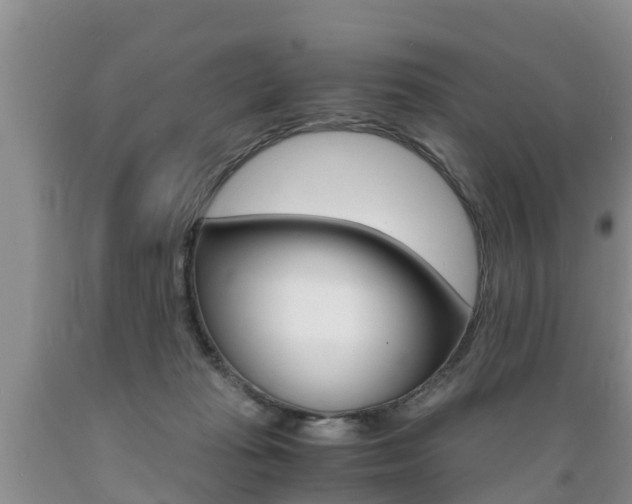 X0000089730269200706210923