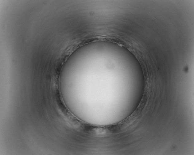 X0000089730272200706210923