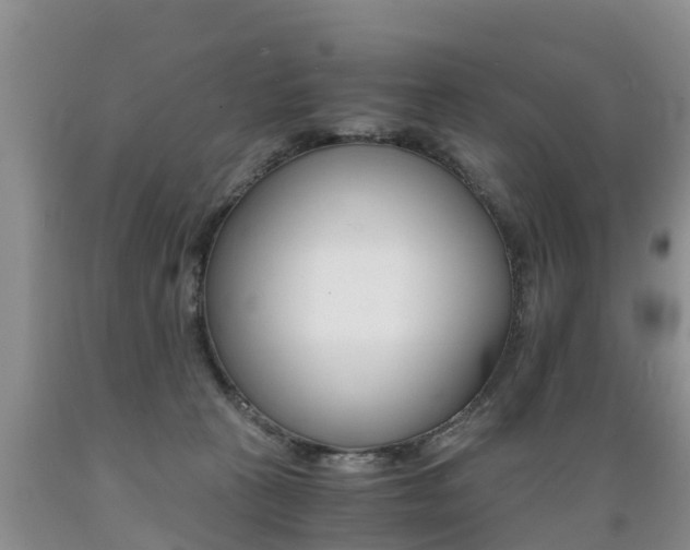 X0000089730273200706210923