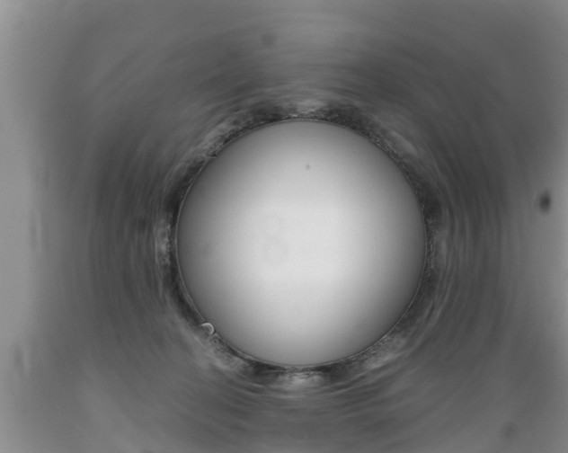 X0000089730274200706210923