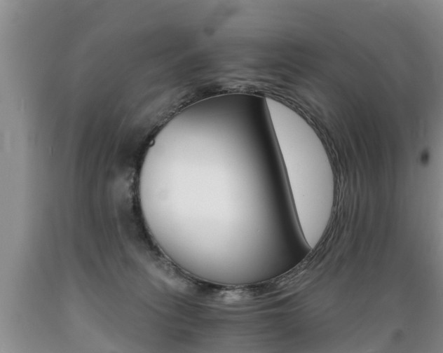 X0000089730275200706210923