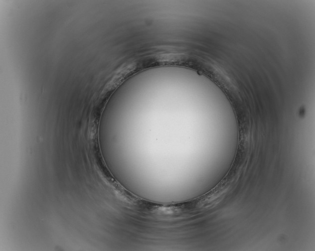 X0000089730277200706210923