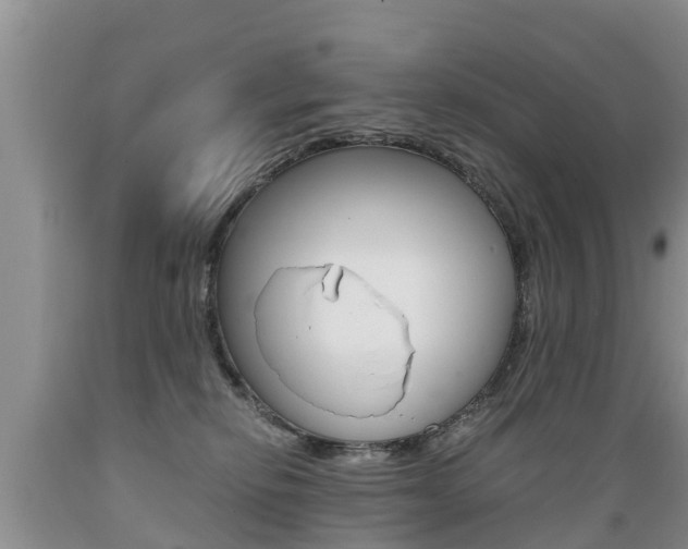 X0000089730278200706210923