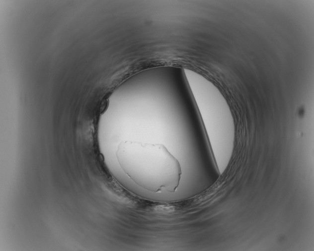 X0000089730279200706210923