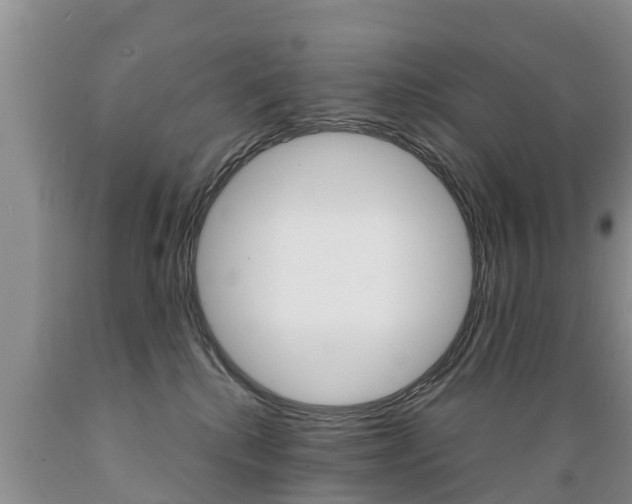 X0000089730280200706210923