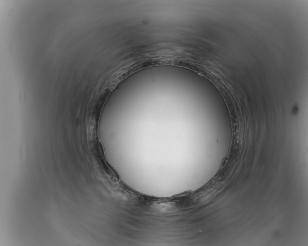 X0000089730283200706210923